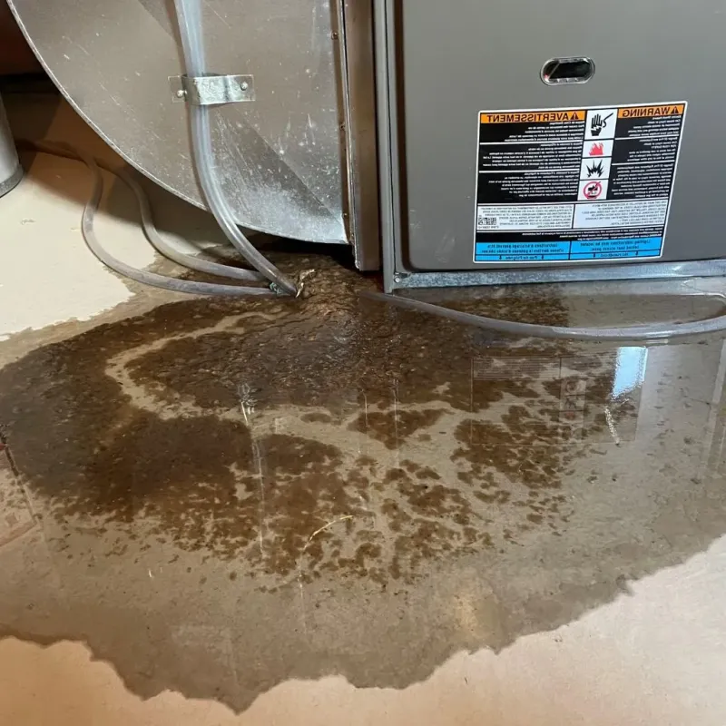 Pipe Burst and Leak Restoration in Kay County, OK